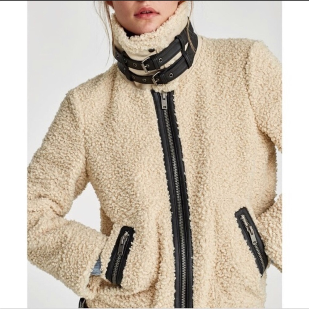 Zara Teddy Bear Faux Shearling Moto Aviator Jacket